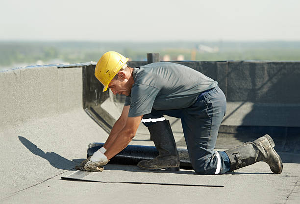 Best Specialty Insulation in Kenedy, TX